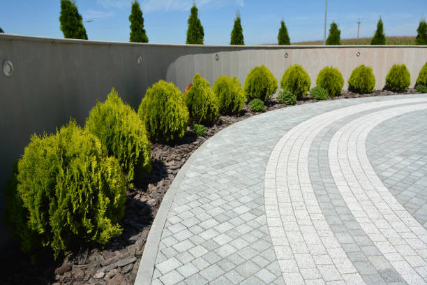 Best Professional Driveway Pavers  in Gold Hill, OR
